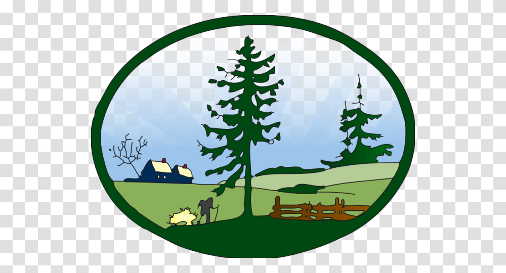 Scenic Clipart Rainforest, Tree, Plant, Pine, Conifer Transparent Png