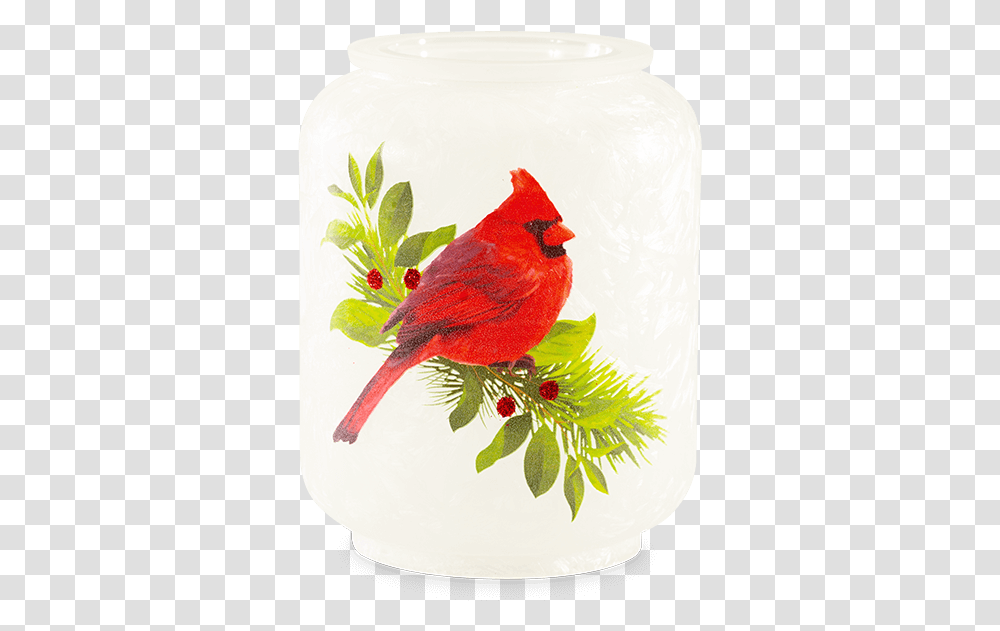 Scentsy Christmas Cardinal Warmer Holiday Collection Christmas Cardinal Scentsy Warmer, Bird, Animal Transparent Png