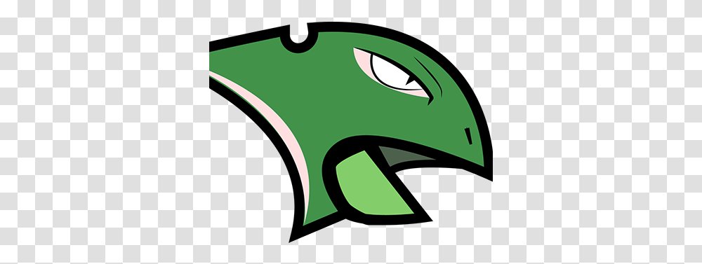 Sceptile Projects Automotive Decal, Symbol, Label, Text, Angry Birds Transparent Png