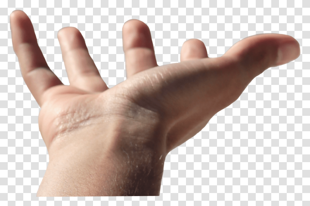 Schand Hand Open Openhand Human, Person, Finger, Wrist Transparent Png