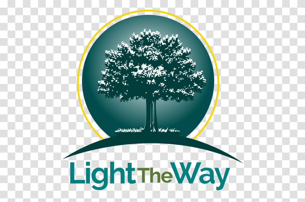 Schedule A Free Estimate Light The Way, Graphics, Art, Tree, Plant Transparent Png