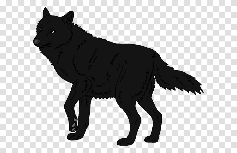 Schipperke Arctic Wolf Mexican Wolf Black Wolf Arctic Wolf Shadow, Mammal, Animal, Coyote, Lion Transparent Png