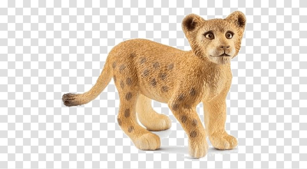 Schleich Lion Cub, Animal, Mammal, Wildlife, Toy Transparent Png