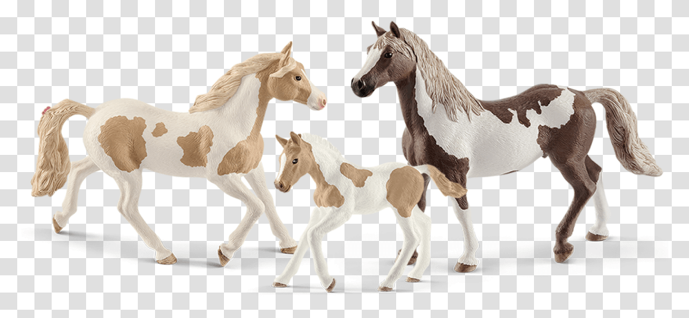 Schleich Paint Horses, Foal, Mammal, Animal, Colt Horse Transparent Png