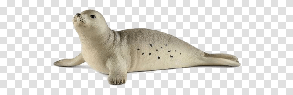 Schleich, Sea Life, Animal, Seal, Mammal Transparent Png