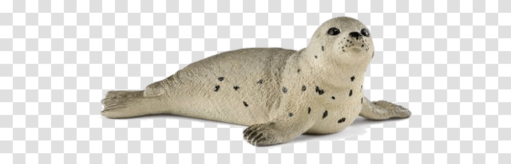 Schleich Sl, Seal, Mammal, Sea Life, Animal Transparent Png