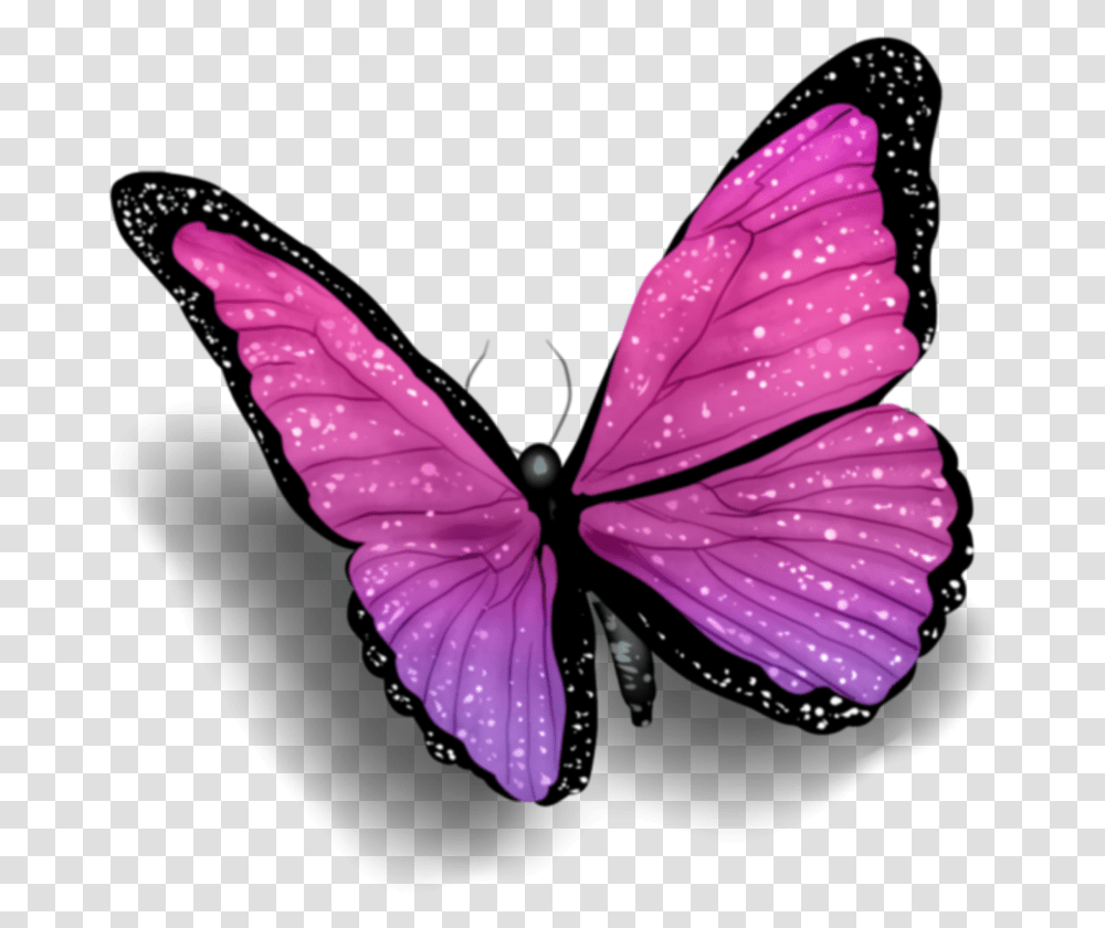 Schmetterling Butterfly Rosa Purple Lila Pink Butterfly With Shadow, Light, Insect Transparent Png
