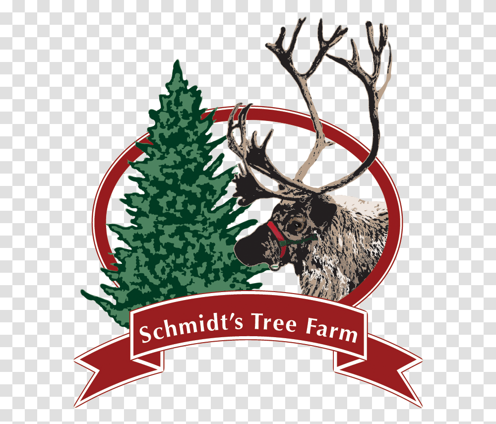 Schmidt S Tree Farm Logo Christmas Tree, Plant, Ornament Transparent Png