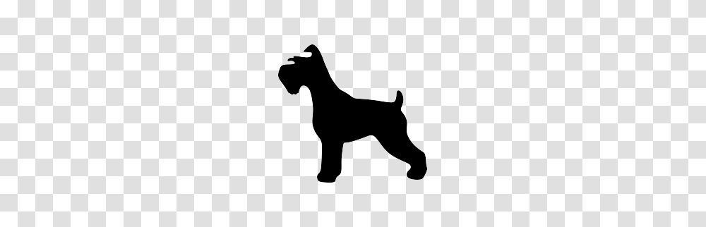 Schnauzer Silhouette Signs Silhouette Dog, Stencil, Animal, Mammal, Horse Transparent Png