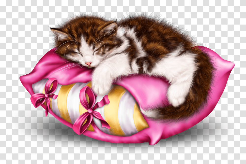 Schnen Abend Angenehme Nachtruhe, Kitten, Cat, Pet, Mammal Transparent Png