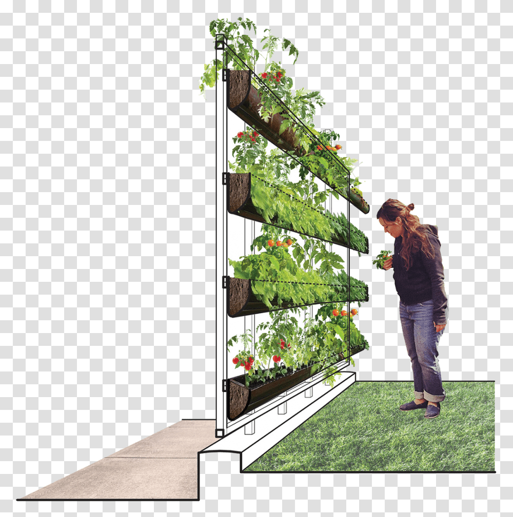School Landscape Design Competition, Person, Plant, Tree, Outdoors Transparent Png