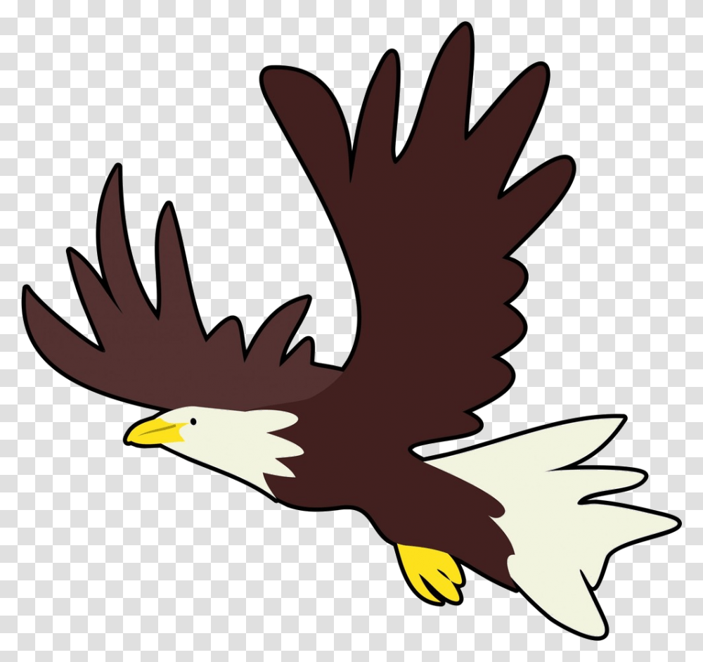 School Logo Bald Eagle Clipart, Bird, Animal, Flying Transparent Png