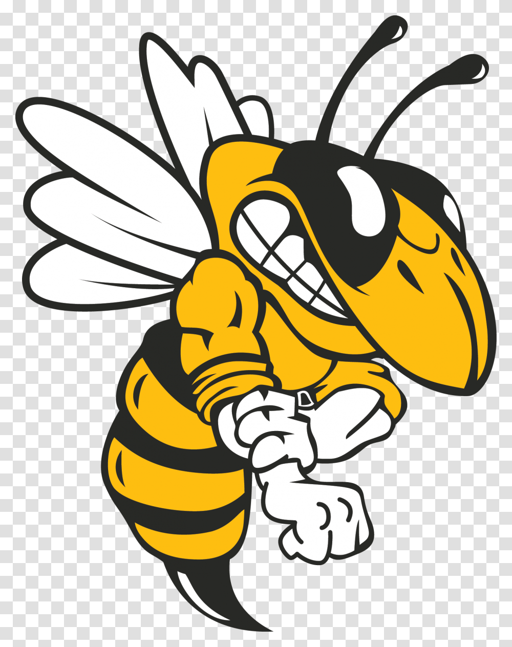 School Logo Mascot Central High School Louisville, Wasp, Bee, Insect, Invertebrate Transparent Png