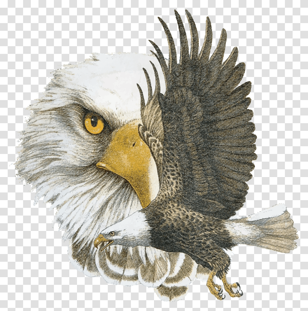 School Logo Nance Elementary Northwest Isd, Eagle, Bird, Animal, Bald Eagle Transparent Png