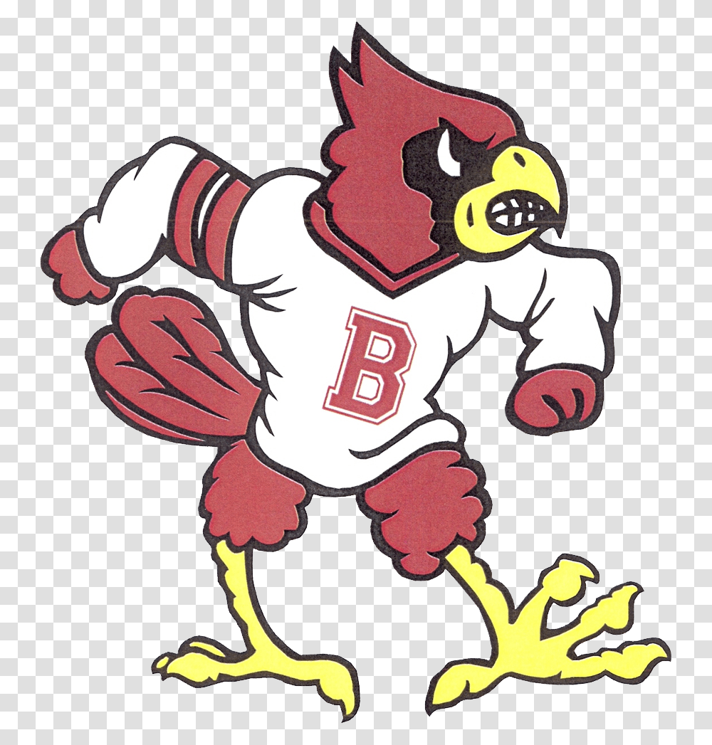 School Logo Stewartsville Cardinals, Animal, Bird Transparent Png