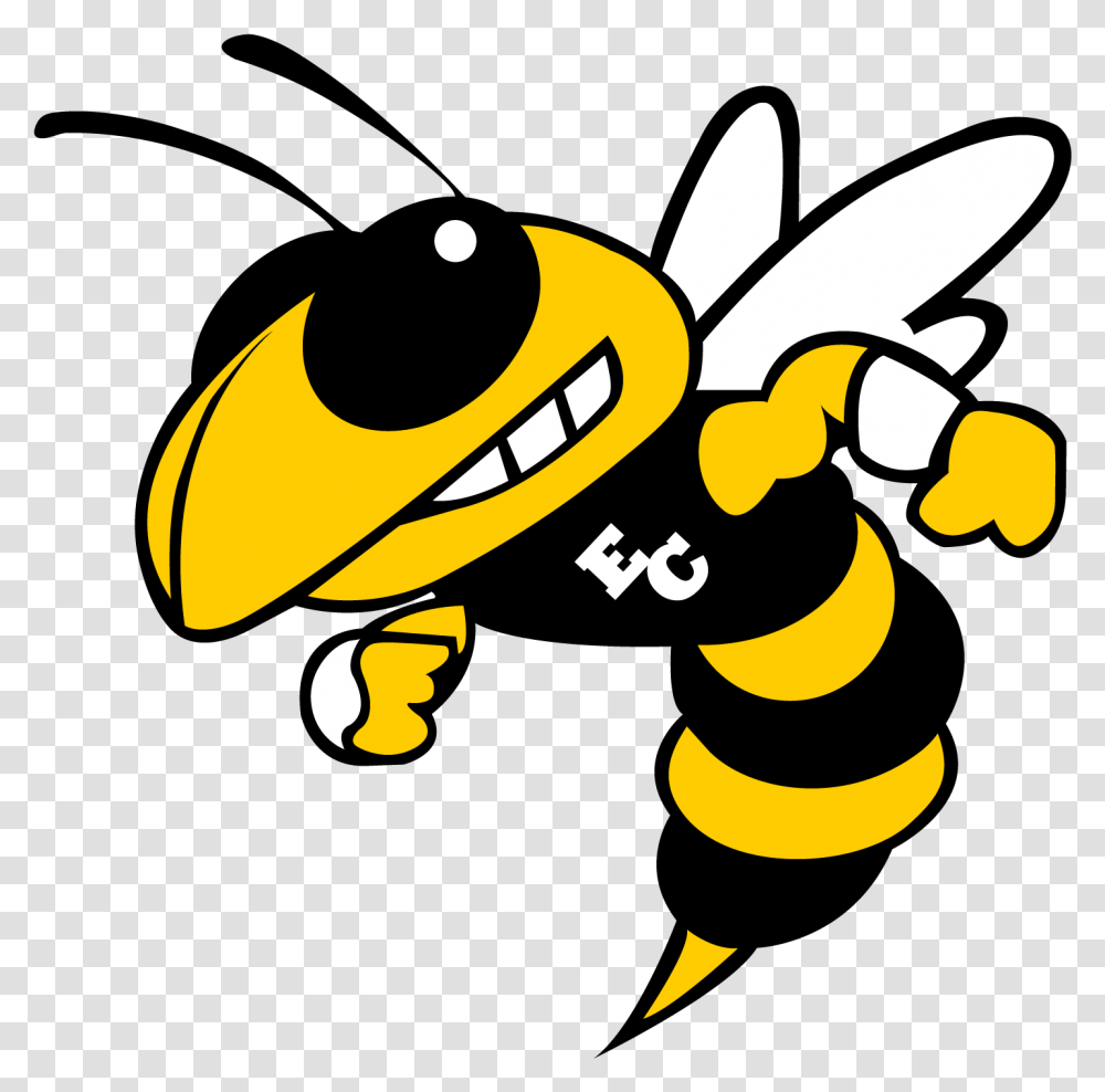 School Logo Woodford County High School Mascot, Wasp, Bee, Insect, Invertebrate Transparent Png