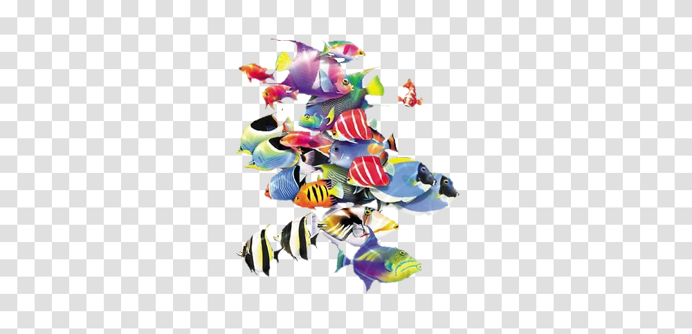 School Of Fish, Animal, Angelfish, Sea Life, Amphiprion Transparent Png