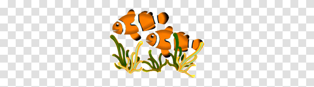 School Of Fish Clip Art, Amphiprion, Sea Life, Animal, Angelfish Transparent Png