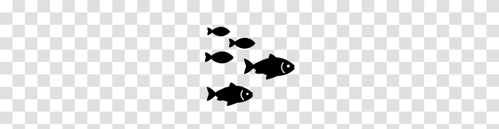 School Of Fish Icons Noun Project, Gray, World Of Warcraft Transparent Png