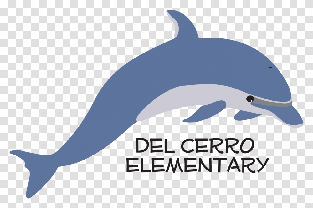 School Of Fish Illustration, Sea Life, Animal, Mammal, Dolphin Transparent Png
