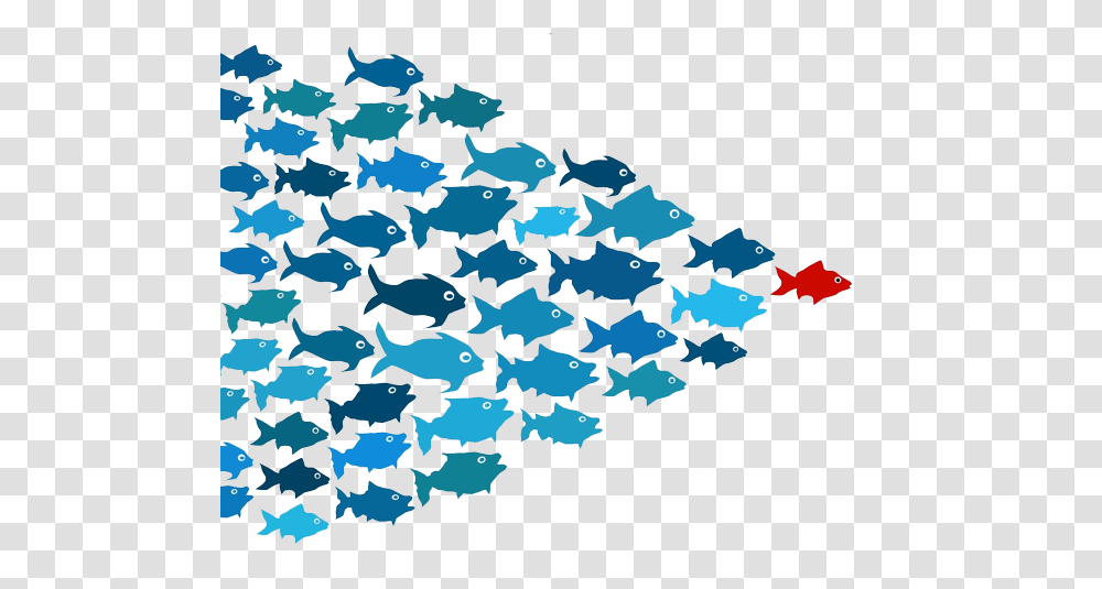 School Of Fish, Paper, Rug, Confetti, Bird Transparent Png