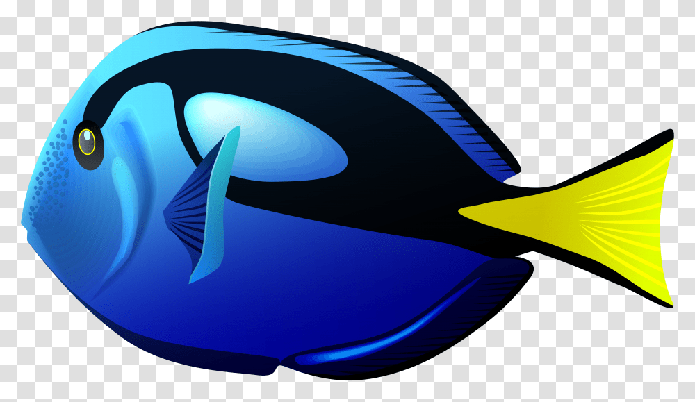 School Of Tang Clipart Picture Royalty Free Stock Blue Pacific Blue Tang Fish Svg, Sea Life, Animal, Surgeonfish, Shark Transparent Png