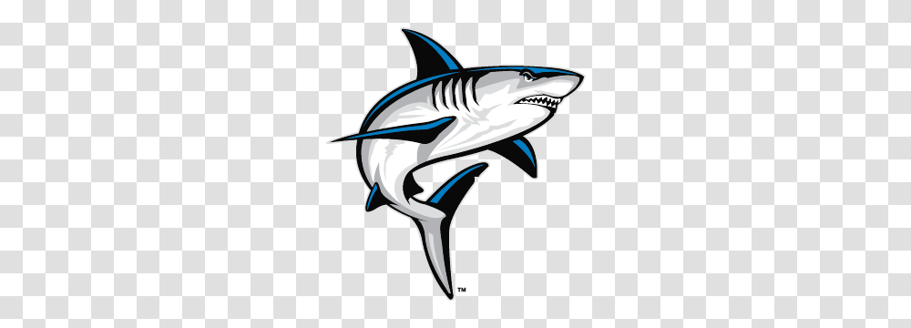 School Shark Clipart Free Clipart, Sea Life, Fish, Animal, Great White Shark Transparent Png