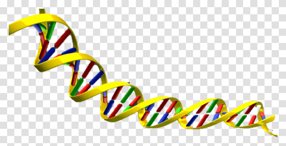 Science Clipart Dna Dna Double Helix, Apparel, Lawn Mower, Tool Transparent Png