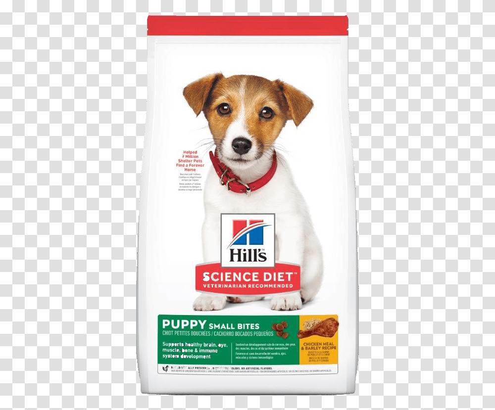 Science Diet Puppy Food, Animal, Canine, Mammal, Dog Transparent Png