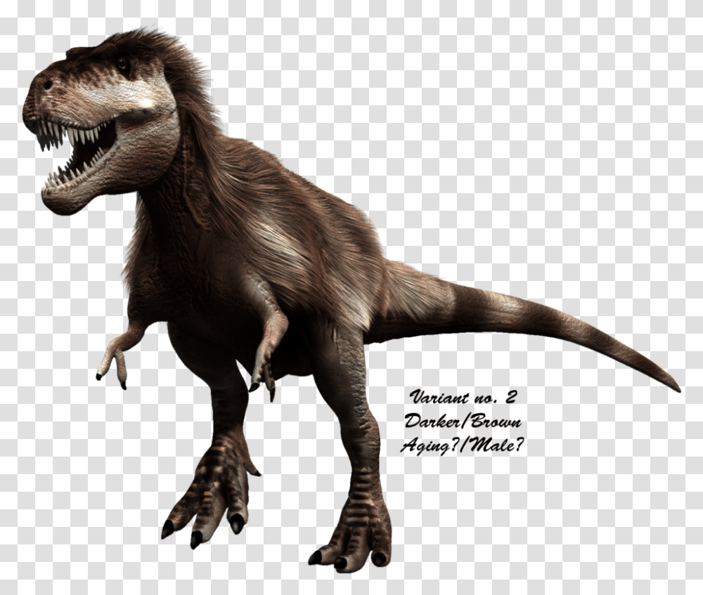 Scientifically Accurate T Rex Did T Rex Actually Look Trex Actually Looked Like, T-Rex, Dinosaur, Reptile, Animal Transparent Png