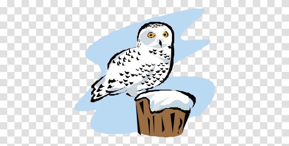 Scientist Clipart Owl, Bird, Animal, Seagull Transparent Png