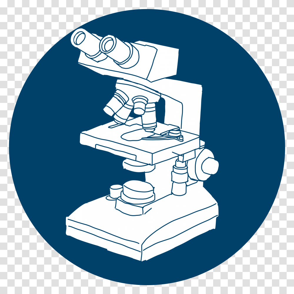 Scientist Wsp Stairs, Microscope Transparent Png