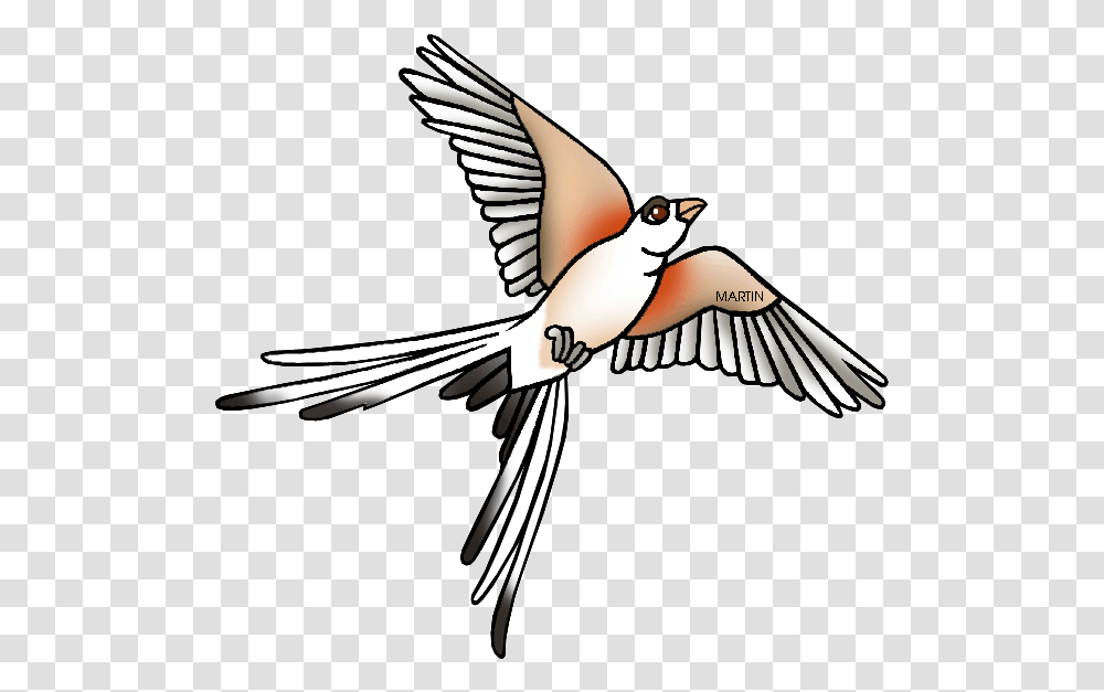 Scissor Clipart Scissor Tailed Flycatcher Clipart, Bird, Animal, Flying, Swallow Transparent Png
