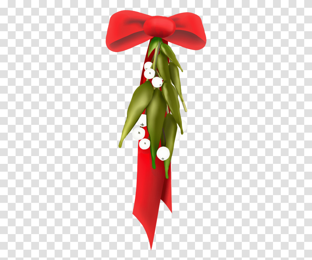 Scmistletoes Mistletoe Redribbon Bow Red Green Coquelicot, Plant, Tree, Flower Transparent Png
