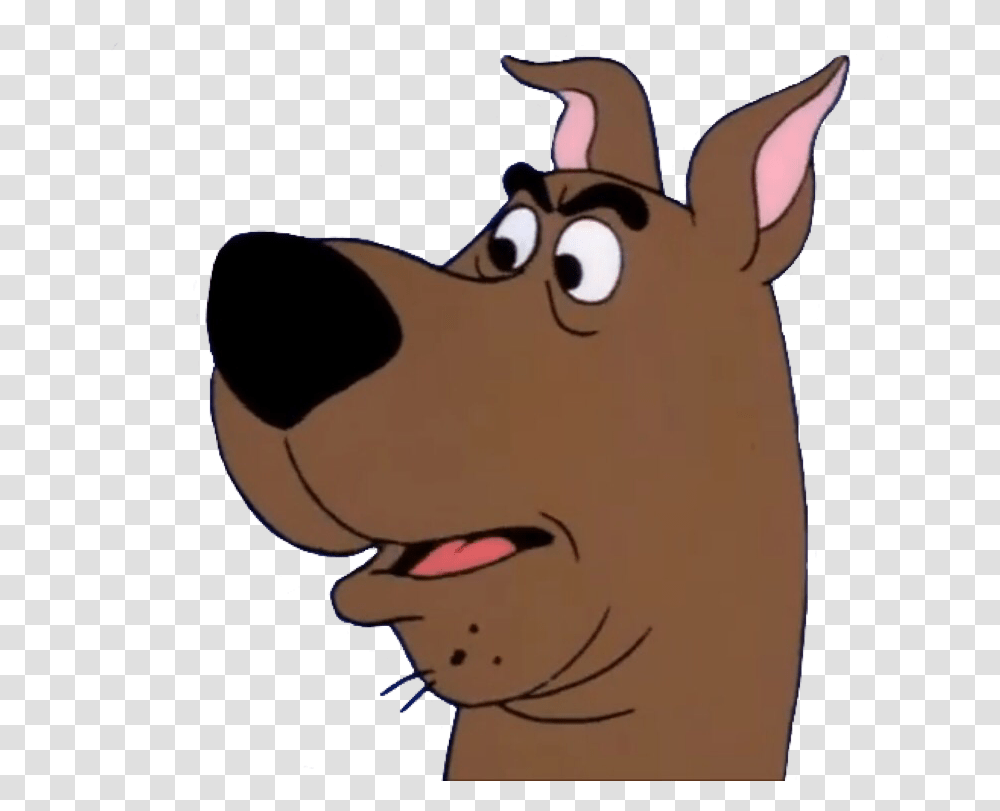 Scooby Doo Scooby Doo Logo, Mammal, Animal, Pet, Dog Transparent Png