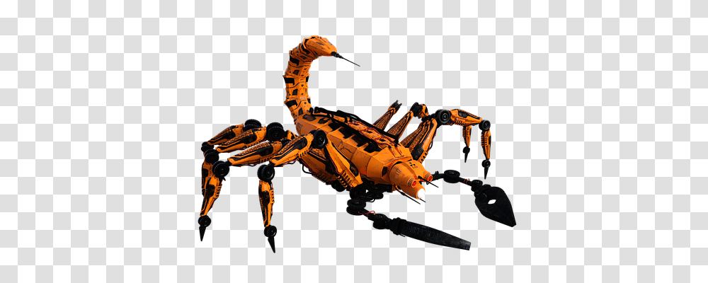 Scorpio Technology, Toy, Animal, Insect Transparent Png