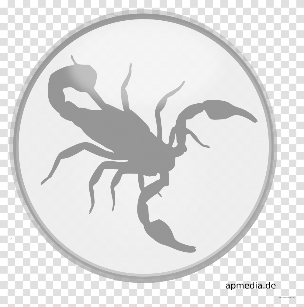 Scorpio, Animal, Sea Life, Scorpion, Invertebrate Transparent Png