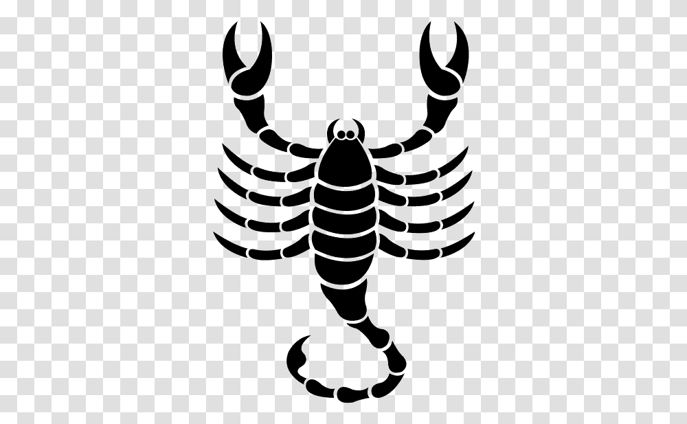 Scorpio Astrological Sign Astrology Zodiac Astrological Zodiac Signs Symbols Scorpio, Animal, Sea Life, Invertebrate, Insect Transparent Png