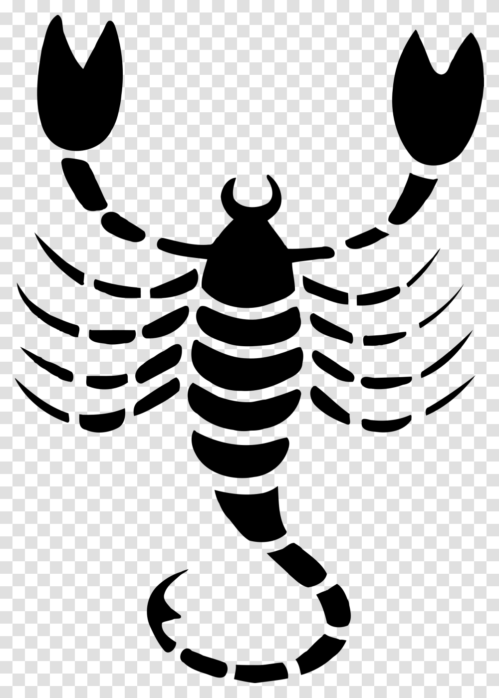 Scorpio Drawing 4 Clip Arts, Gray, World Of Warcraft Transparent Png