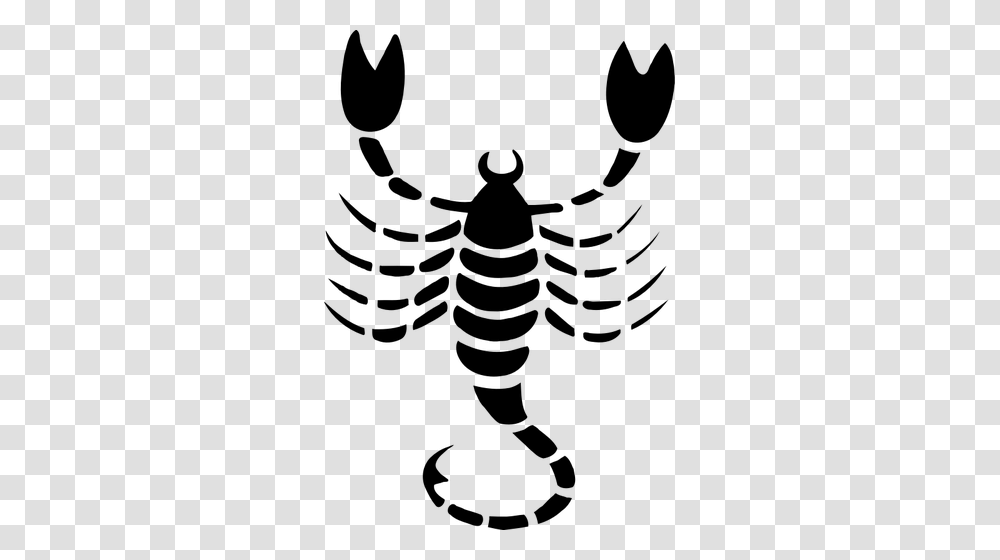 Scorpio Drawing, Gray, World Of Warcraft Transparent Png