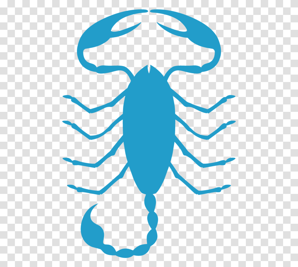 Scorpio Illustration, Animal, Invertebrate, Tick, Scorpion Transparent Png