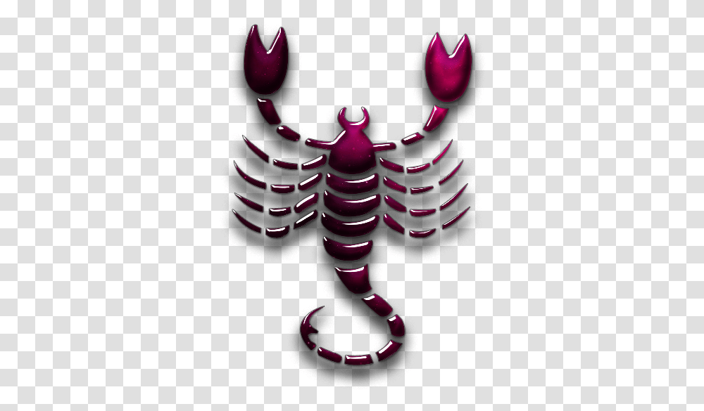 Scorpio Images 27 600 X 600 Webcomicmsnet Scorpio Indian Zodiac Signs, Animal, Invertebrate, Scorpion, Sea Life Transparent Png