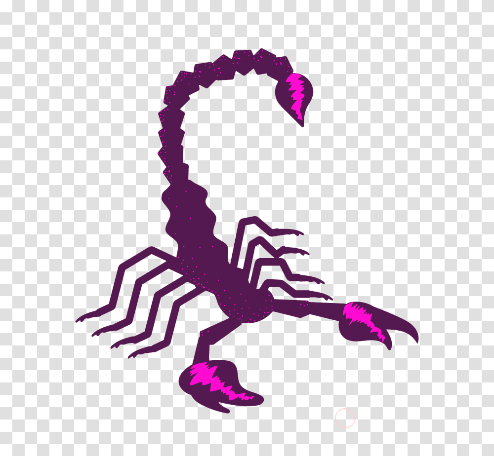 Scorpio Images Free Download, Scorpion, Invertebrate, Animal, Person Transparent Png