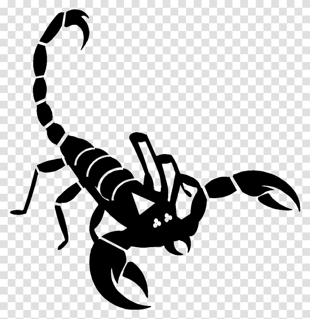 Scorpio Images Free Download, Stencil, Scorpion, Invertebrate, Animal Transparent Png