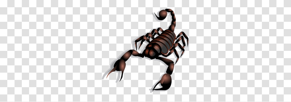 Scorpio Images Icon Cliparts, Scorpion, Invertebrate, Animal, Person Transparent Png