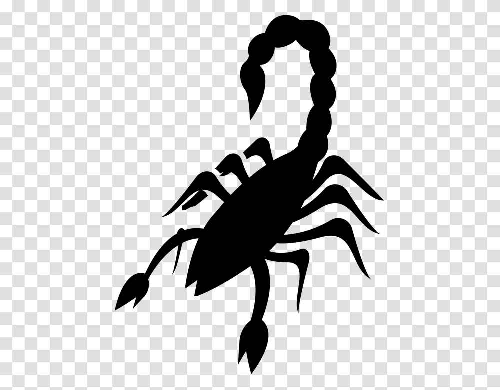 Scorpio Reptile Arachnid Scorpion Wildlife Exotic, Gray, World Of Warcraft Transparent Png