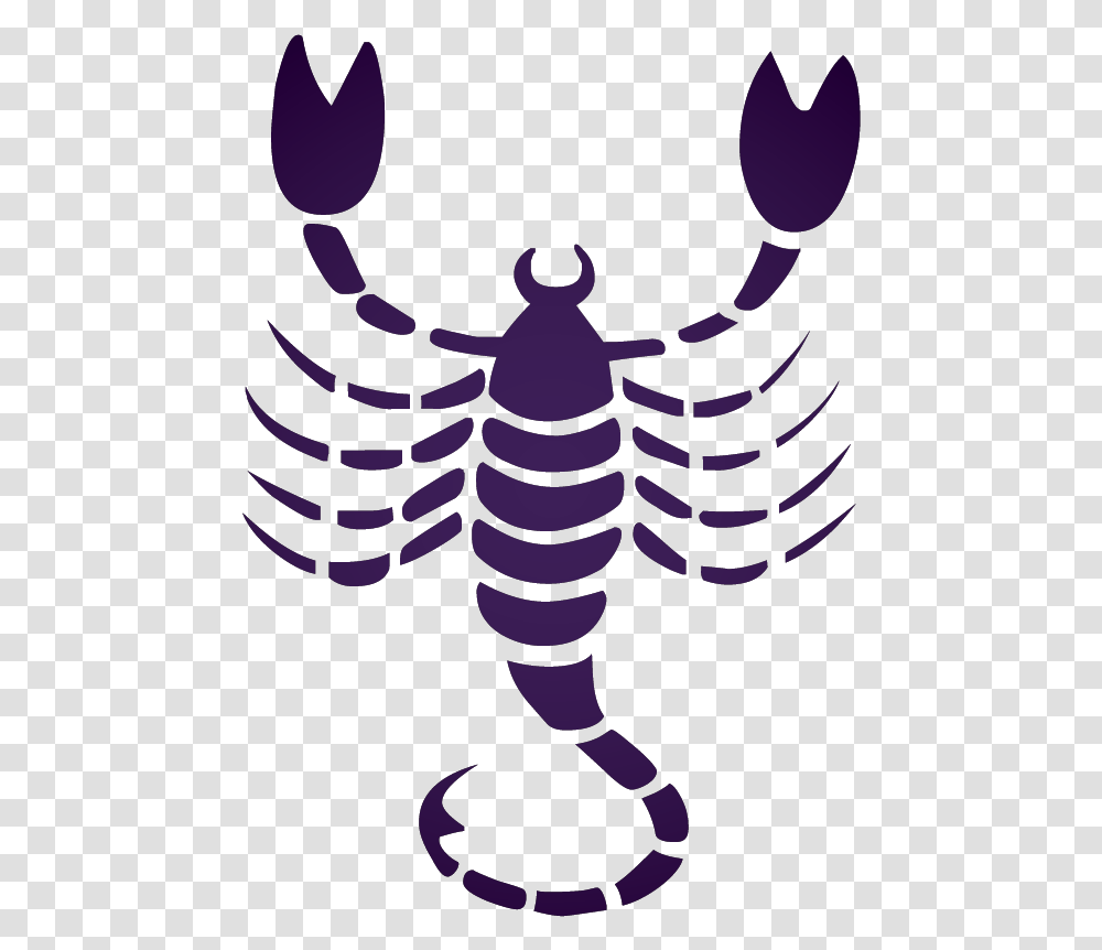 Scorpio Scorpio Zodiac, Crawdad, Seafood, Sea Life, Animal Transparent Png