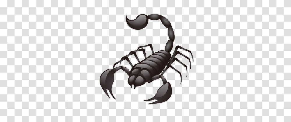 Scorpio, Scorpion, Invertebrate, Animal, Hook Transparent Png