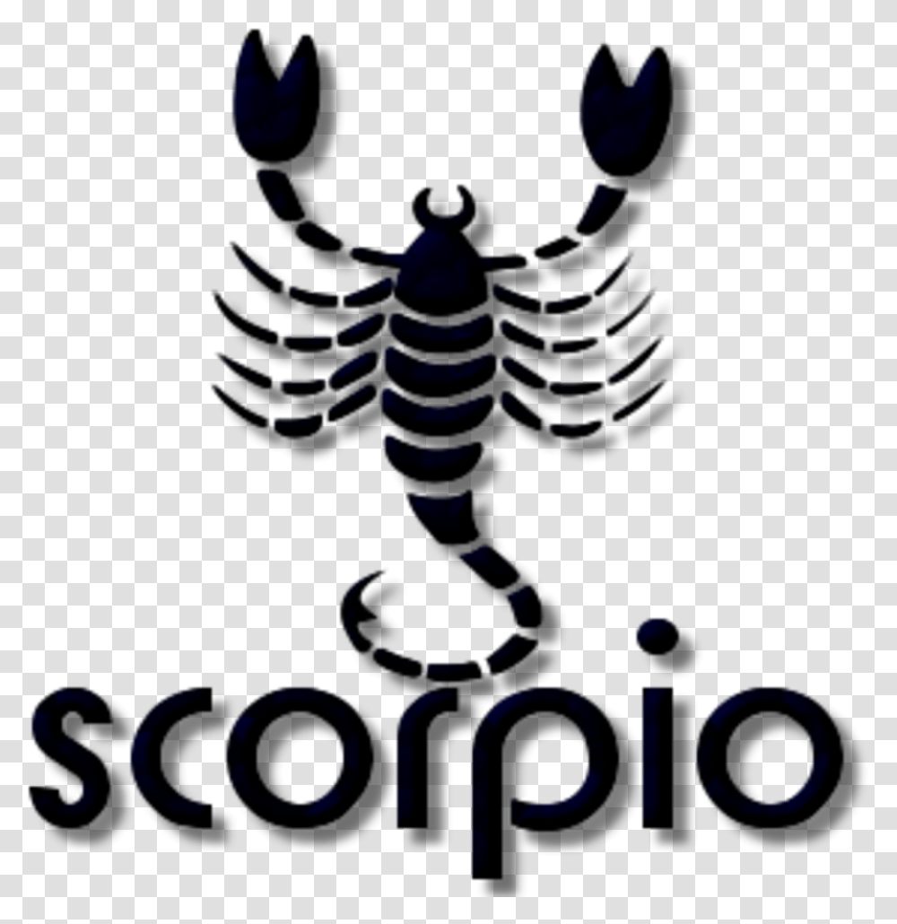 Scorpio Sign, Animal, Outdoors, Light Transparent Png
