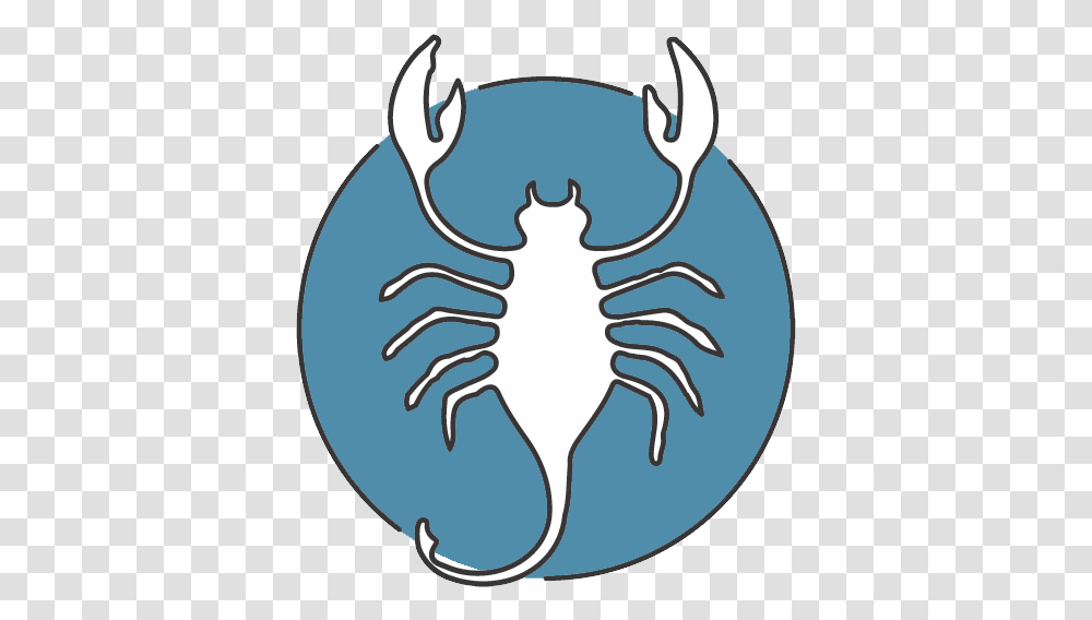 Scorpio Sign Zodiac Sun Star Meaning Of Scorpio Signs Insect, Seafood, Sea Life, Animal, Steamer Transparent Png